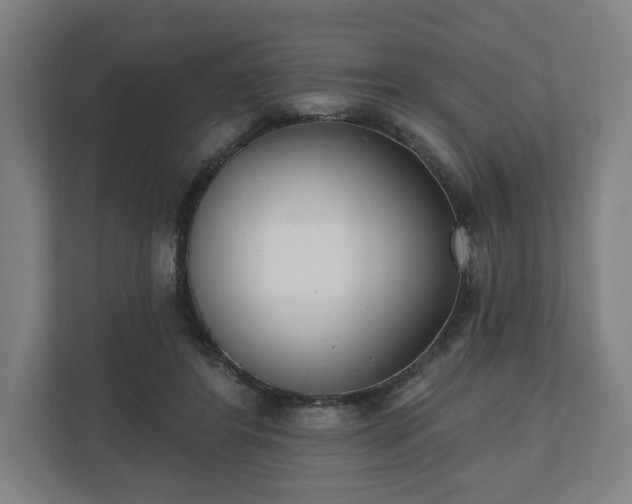 X0000110740404200906221033