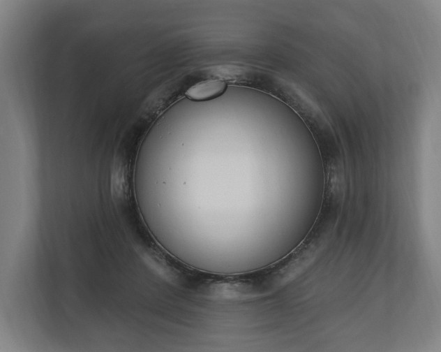 X0000110740408200906221032