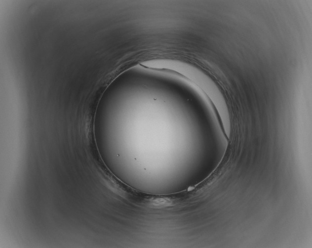 X0000110740409200906221032