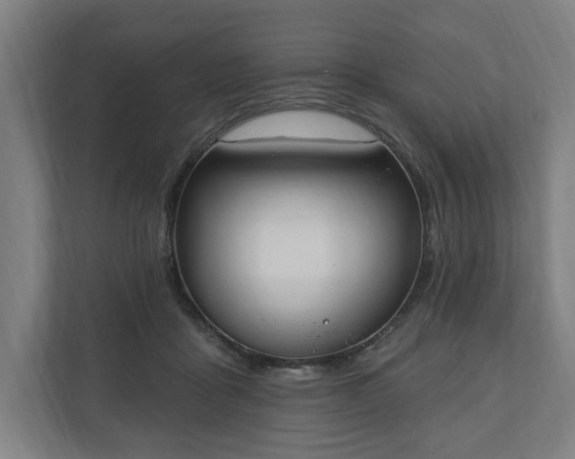 X0000110740411200906221032