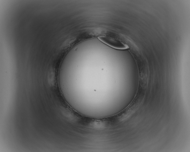 X0000110740416200906221032