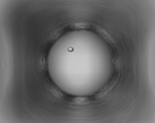 X0000110740418200906221032