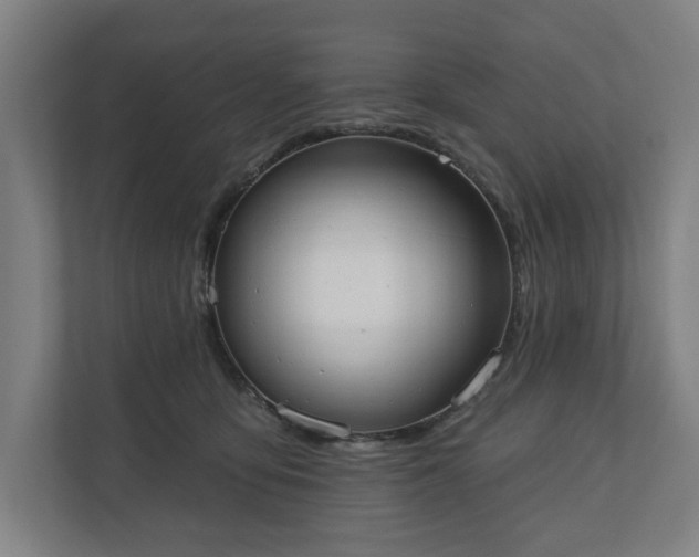 X0000110740419200906221032