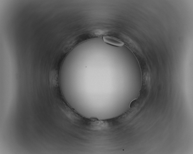 X0000110740421200906221032