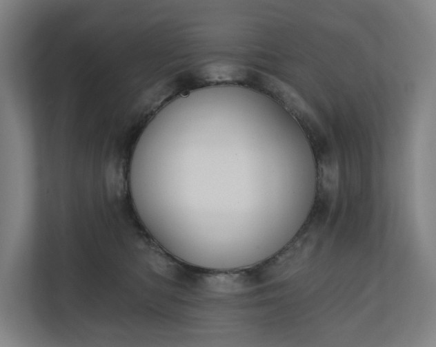 X0000110740422200906221032