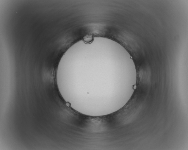 X0000110740423200906221032