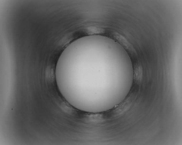 X0000110740426200906221032
