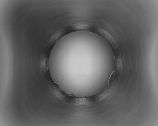 X0000110740428200906221032