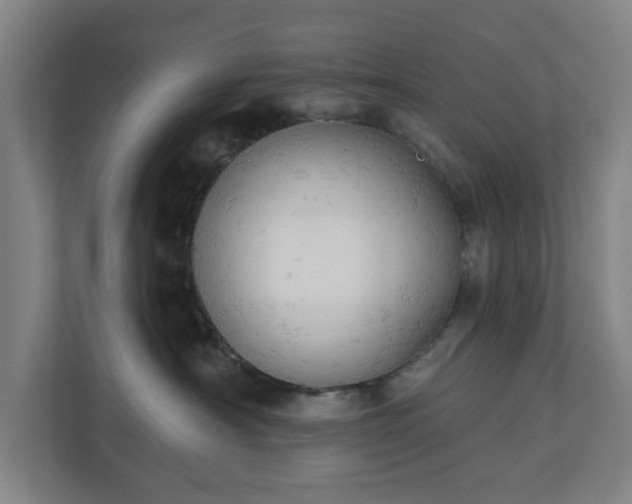 X0000110740430200906221032
