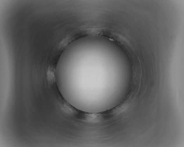 X0000110740432200906221032
