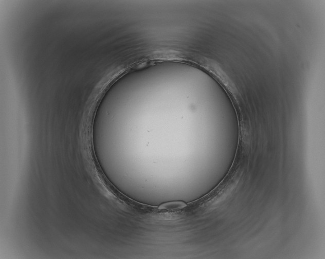 X0000110740433200906221032