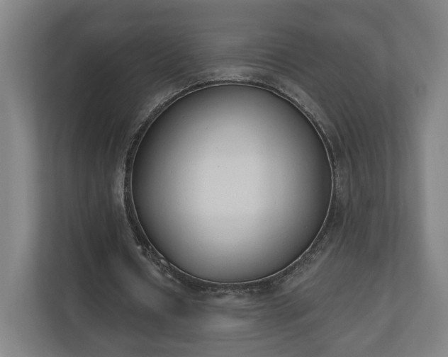 X0000110740434200906221032