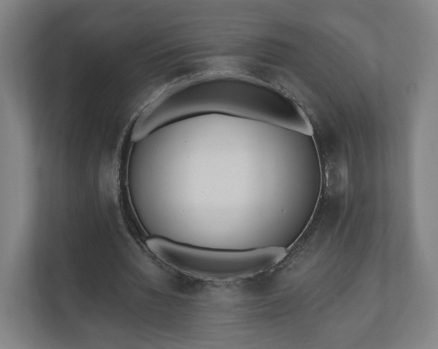 X0000110740436200906221032