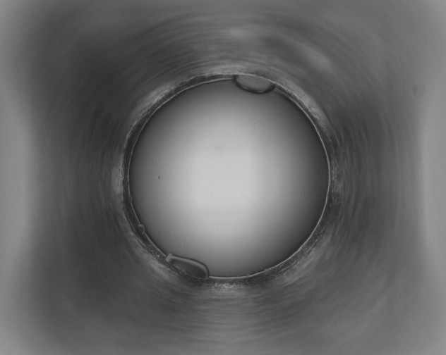 X0000110740437200906221032