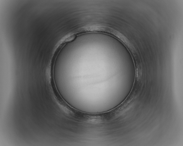 X0000110740438200906221032