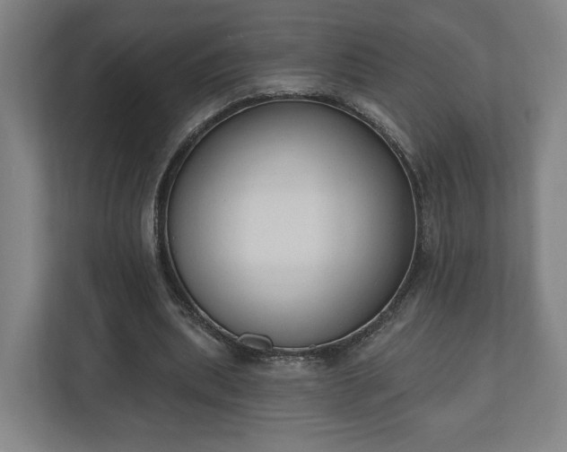 X0000110740439200906221032