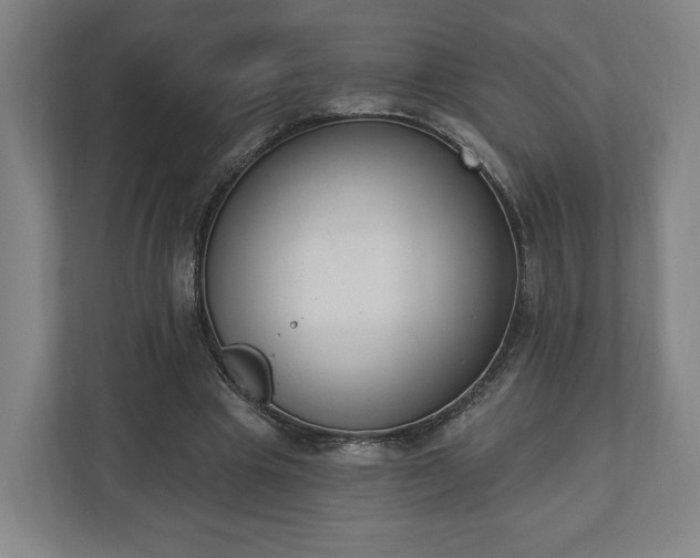 X0000110740441200906221032