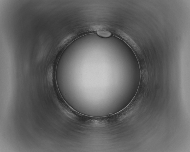 X0000110740442200906221032