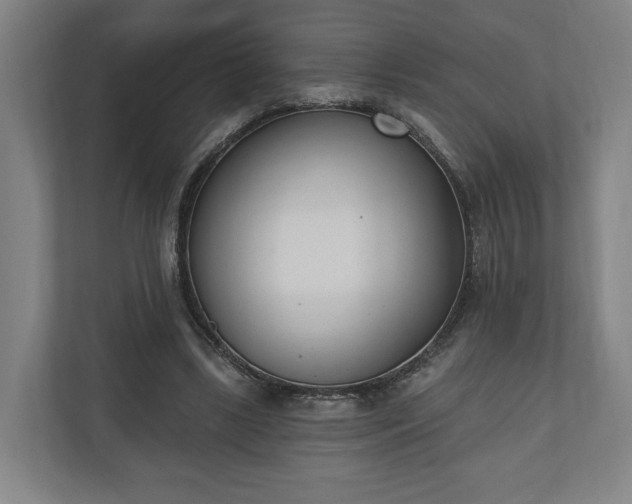 X0000110740443200906221032