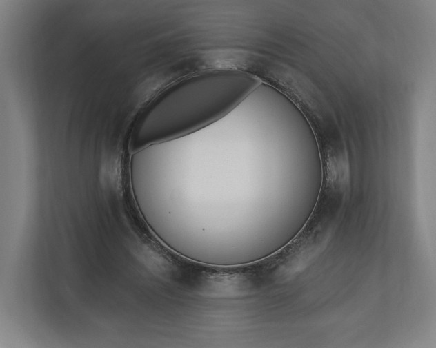 X0000110740444200906221032