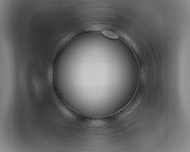 X0000110740445200906221032