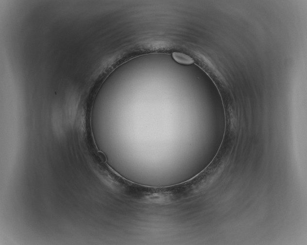 X0000110740447200906221032