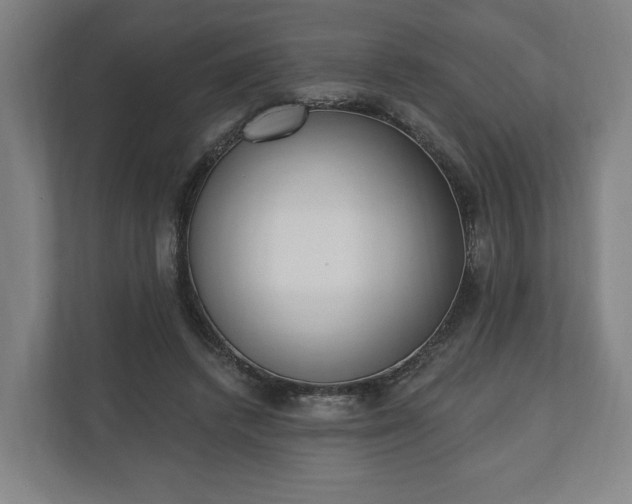 X0000110740448200906221032