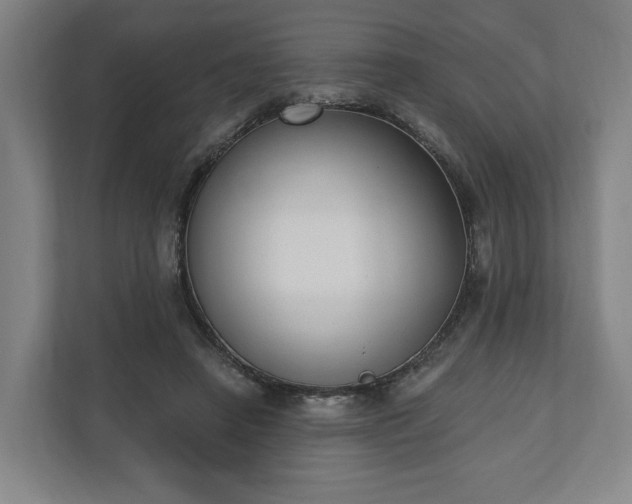 X0000110740450200906221032