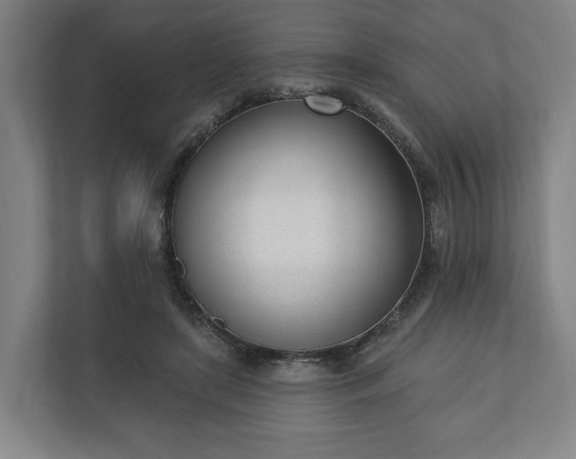 X0000110740451200906221032