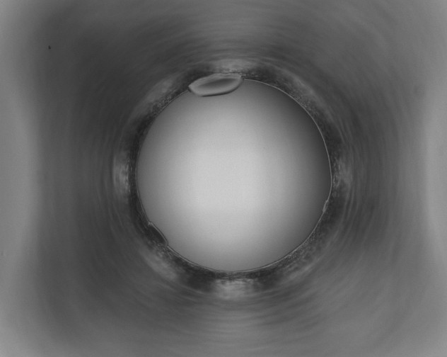 X0000110740452200906221032