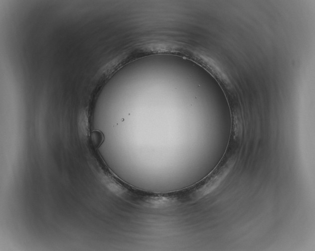 X0000110740453200906221032