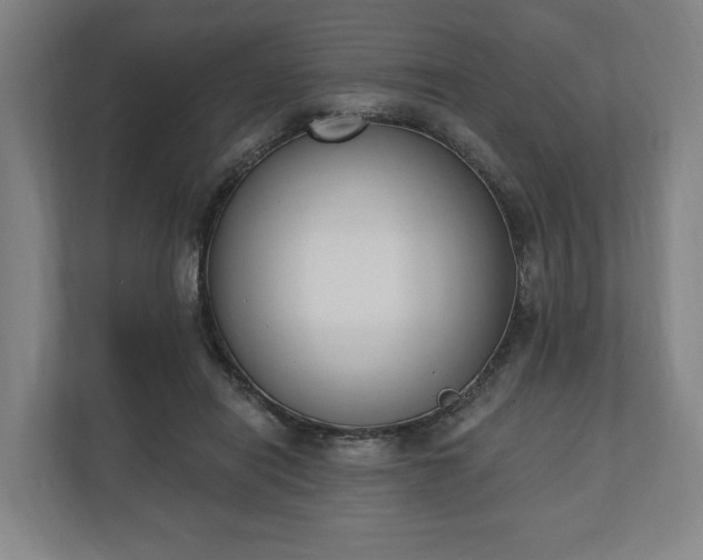 X0000110740454200906221032