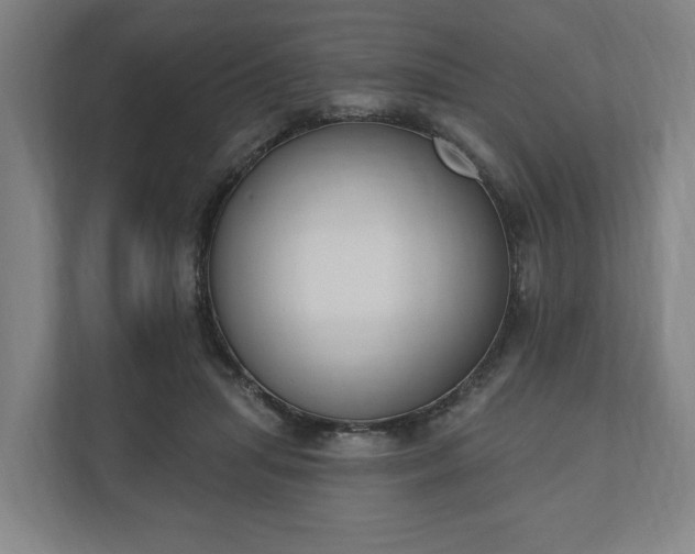 X0000110740455200906221032