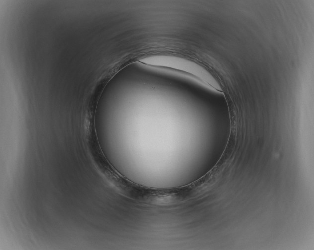 X0000110740456200906221032