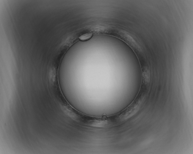 X0000110740458200906221032