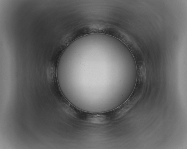 X0000110740463200906221032