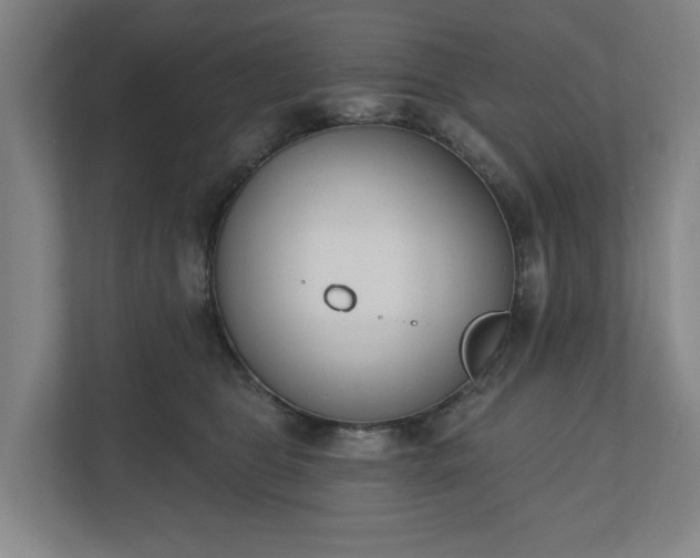 X0000110740469200906221032