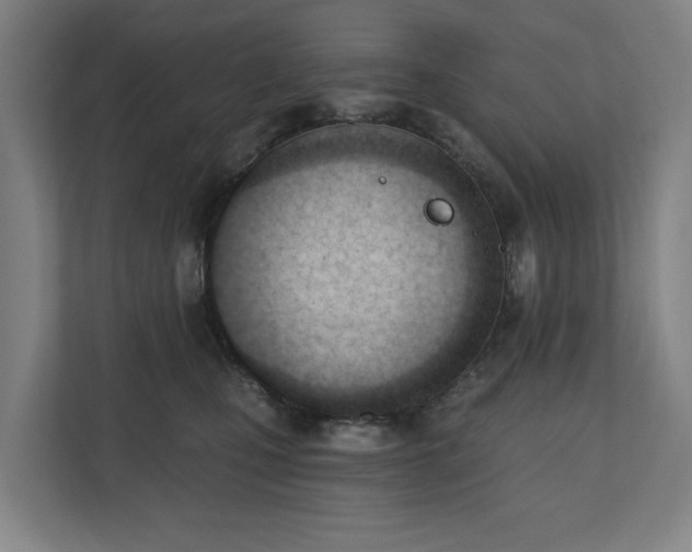 X0000110740471200906221032