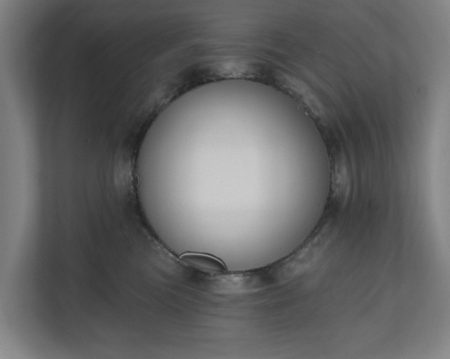 X0000110740473200906221032