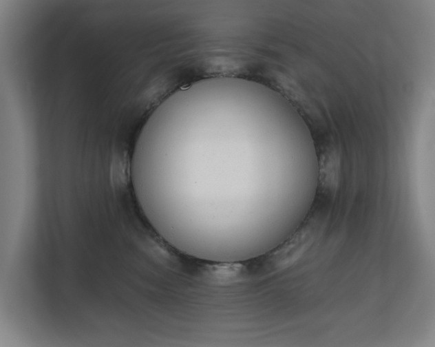 X0000110740474200906221032