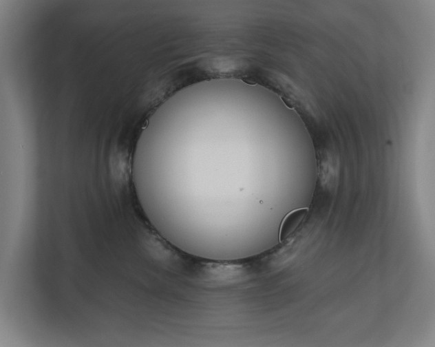 X0000110740476200906221032