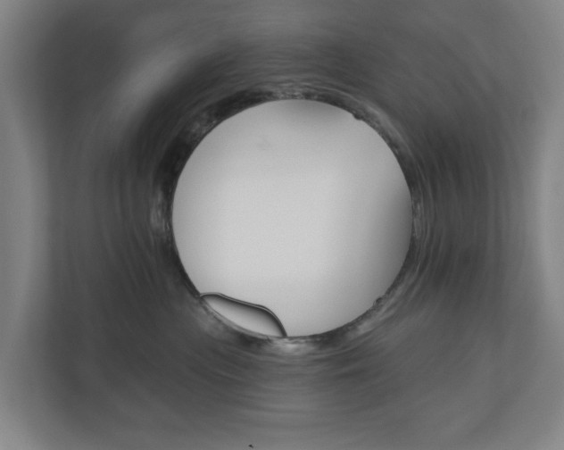 X0000110740477200906221032
