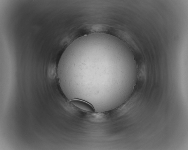 X0000110740478200906221032