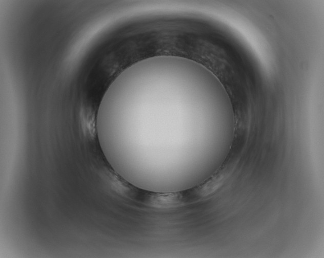 X0000110740479200906221032