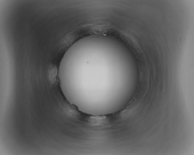 X0000110740480200906221032