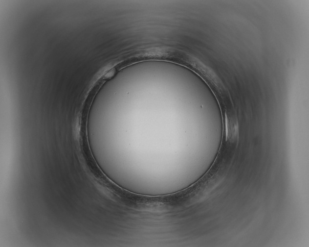 X0000110740483200906221031