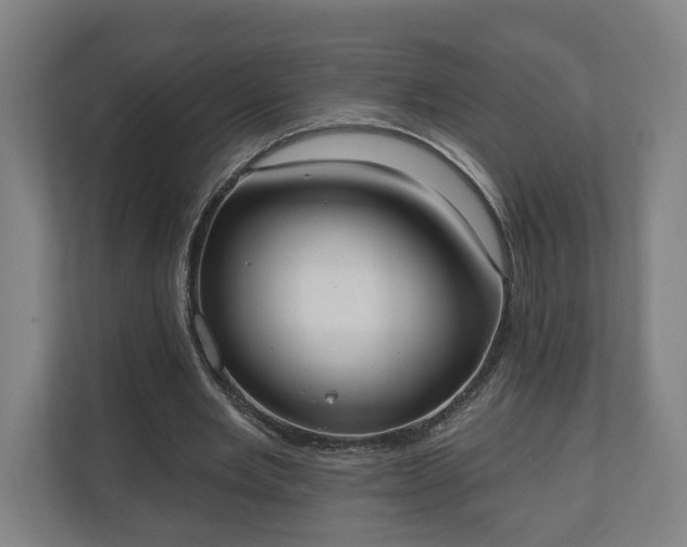 X0000110740485200906221031