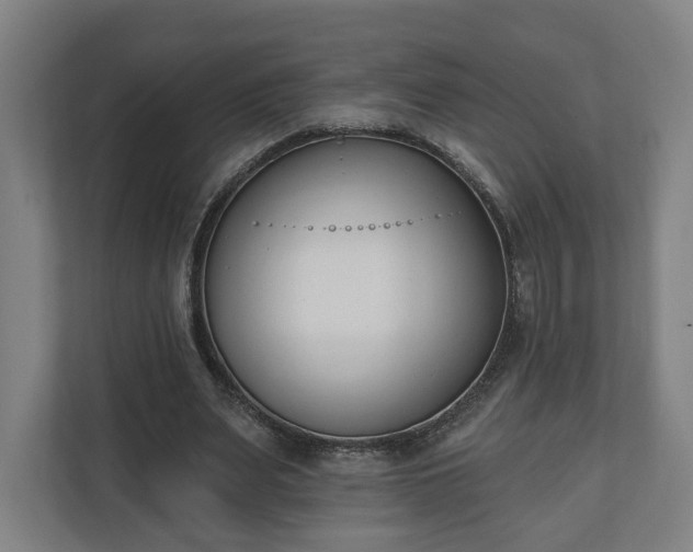 X0000110740487200906221031