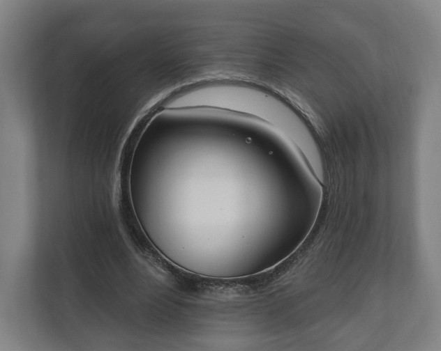X0000110740488200906221031