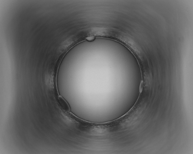 X0000110740489200906221031